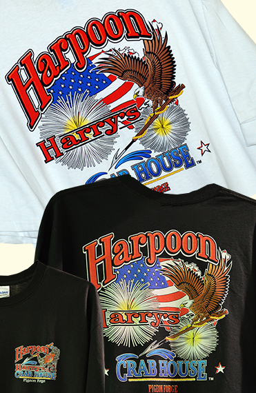 Eagle & Flag T-Shirt